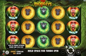 7 Monkeys Img