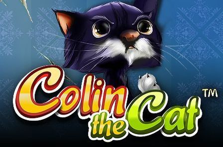 Colin The Cat Slot Game Free Play at Casino Zimbabwe
