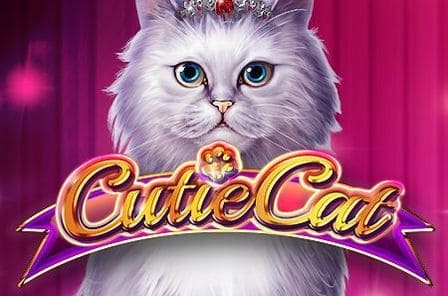 Cutie Cat Slot Game Free Play at Casino Zimbabwe