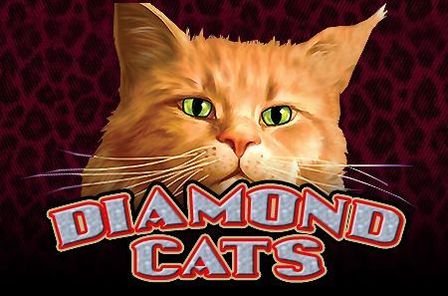 Diamond Cats Slot Game Free Play at Casino Zimbabwe