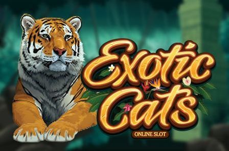 Exotic Cats Slot Game Free Play at Casino Zimbabwe