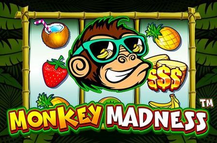 Monkey Madness Slot Game Free Play at Casino Zimbabwe
