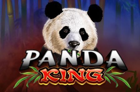 Panda King Slot Game Free Play at Casino Zimbabwe