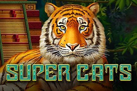 Super Cats Slot Game Free Play at Casino Zimbabwe