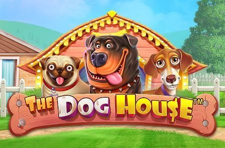 The Dog House Slot Game Free Play at Casino Zimbabwe