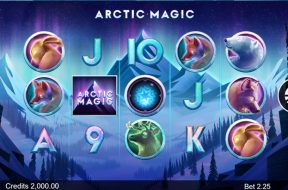 Arctic Magic Img