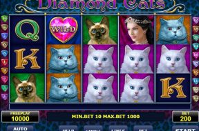 Diamond Cats Img