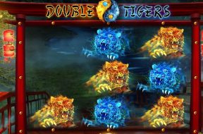 Double Tigers Img