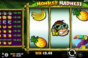 Monkey Madness Img