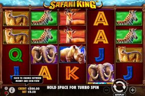 Safari King Img