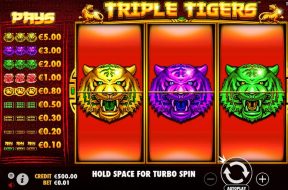 Triple Tigers Img