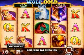 Wolf Gold Img