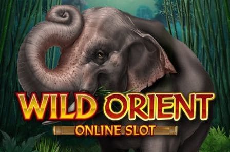 Wild Orient Slot Game Free Play at Casino Zimbabwe