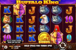 Buffalo King Img