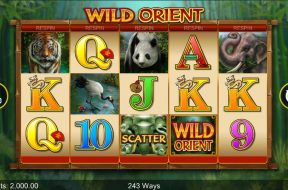 Wild Orient Img