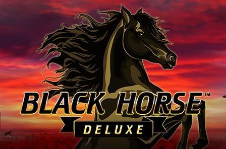 Black Horse Deluxe Slot Game Free Play at Casino Zimbabwe