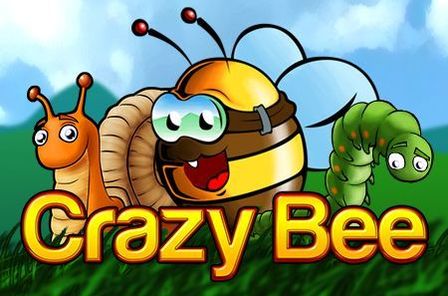 Crazy Bee Slot Game Free Play at Casino Zimbabwe