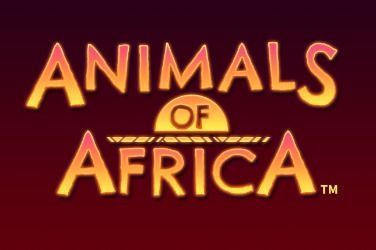 Animals of Africa Slot Game Free Play at Casino Zimbabwe
