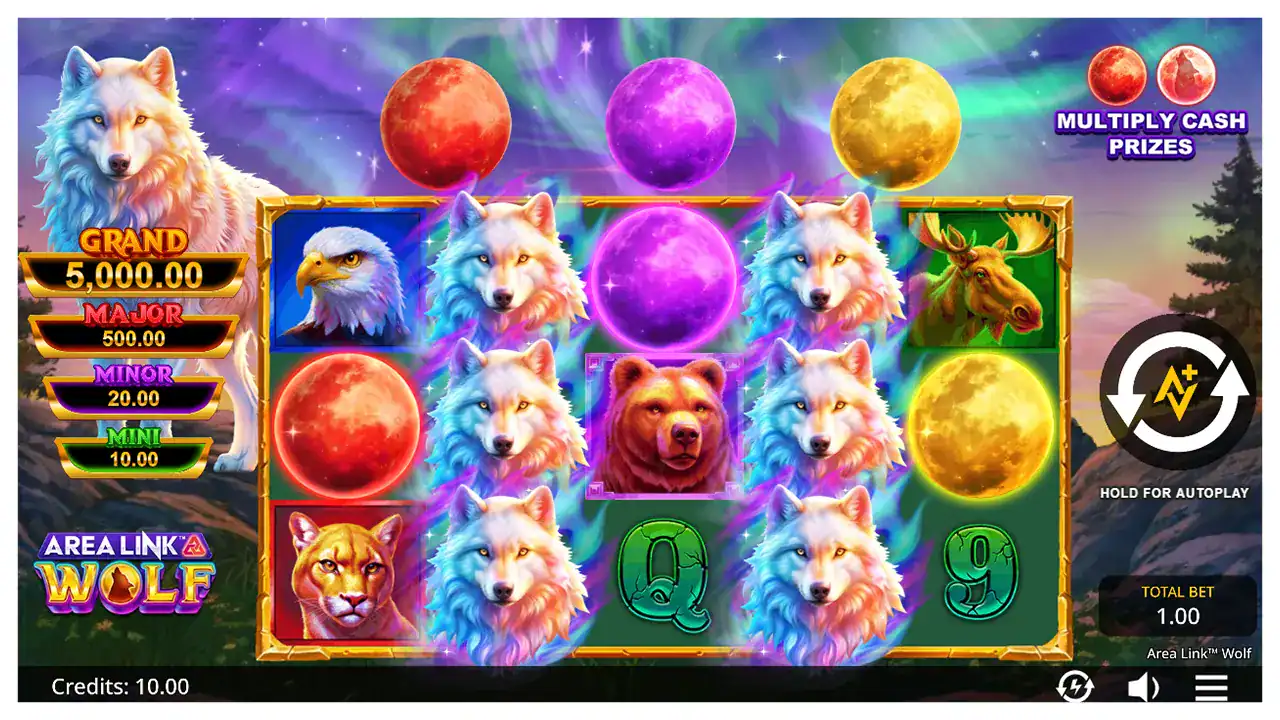 Area Link Wolf s1